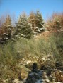 /album/une-agreable-journee-de-chasse/a2-jpg/