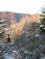 /album/une-agreable-journee-de-chasse/a3-jpg/