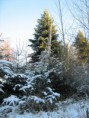 /album/une-agreable-journee-de-chasse/a4-jpg/