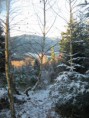 /album/une-agreable-journee-de-chasse/a6-jpg/
