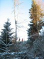 /album/une-agreable-journee-de-chasse/a7-jpg/